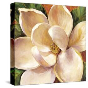 Magnolia Glow II-Carson-Stretched Canvas