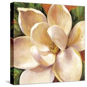 Magnolia Glow II-Carson-Stretched Canvas