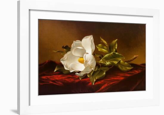 Magnolia Grandiflora-Martin Johnson Heade-Framed Art Print