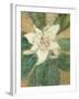 Magnolia Grandiflora-Christian Rohlfs-Framed Giclee Print