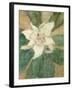 Magnolia Grandiflora-Christian Rohlfs-Framed Giclee Print