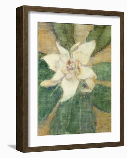 Magnolia Grandiflora-Christian Rohlfs-Framed Giclee Print