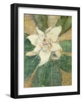 Magnolia Grandiflora-Christian Rohlfs-Framed Giclee Print