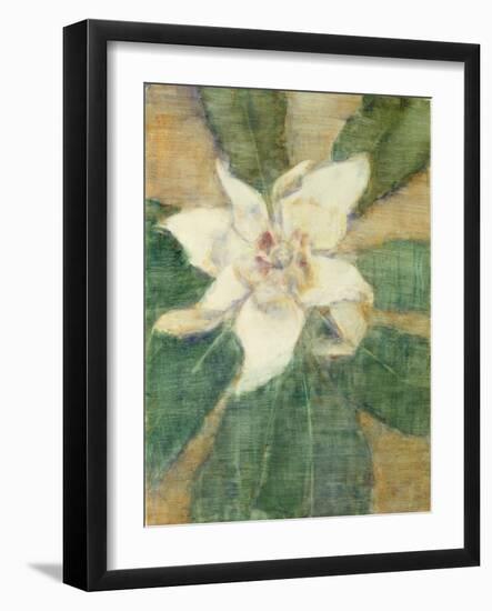 Magnolia Grandiflora-Christian Rohlfs-Framed Giclee Print