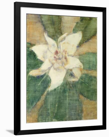 Magnolia Grandiflora-Christian Rohlfs-Framed Giclee Print