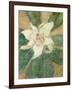 Magnolia Grandiflora-Christian Rohlfs-Framed Giclee Print