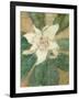 Magnolia Grandiflora-Christian Rohlfs-Framed Giclee Print