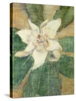 Magnolia Grandiflora-Christian Rohlfs-Stretched Canvas