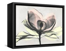 Magnolia I Gray-Albert Koetsier-Framed Stretched Canvas