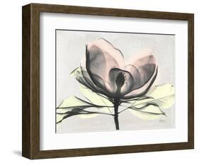 Magnolia I Gray-Albert Koetsier-Framed Art Print