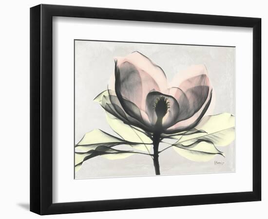 Magnolia I Gray-Albert Koetsier-Framed Art Print