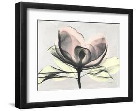 Magnolia I Gray-Albert Koetsier-Framed Art Print