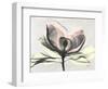 Magnolia I Gray-Albert Koetsier-Framed Art Print