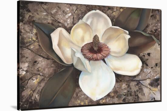 Magnolia I-Louise Montillio-Stretched Canvas