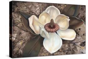 Magnolia I-Louise Montillio-Stretched Canvas