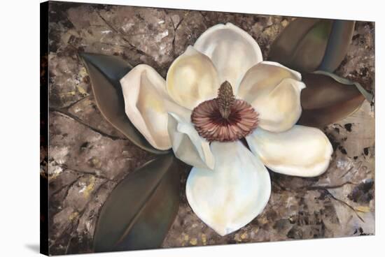 Magnolia I-Louise Montillio-Stretched Canvas