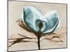 Magnolia I-Albert Koetsier-Mounted Art Print