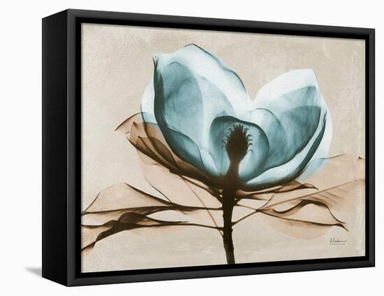 Magnolia I-Albert Koetsier-Framed Stretched Canvas