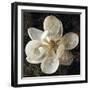 Magnolia I-John Seba-Framed Art Print