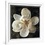 Magnolia I-John Seba-Framed Art Print