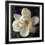 Magnolia I-John Seba-Framed Art Print