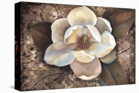 Magnolia II-Louise Montillio-Stretched Canvas