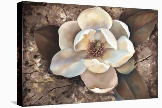 Magnolia II-Louise Montillio-Stretched Canvas