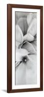 Magnolia II-Alan Blaustein-Framed Photographic Print