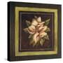Magnolia II-Kimberly Poloson-Stretched Canvas