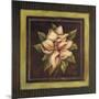 Magnolia II-Kimberly Poloson-Mounted Art Print