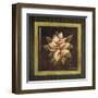 Magnolia II-Kimberly Poloson-Framed Art Print