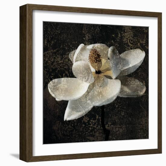 Magnolia II-John Seba-Framed Art Print