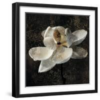 Magnolia II-John Seba-Framed Art Print