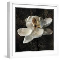 Magnolia II-John Seba-Framed Art Print
