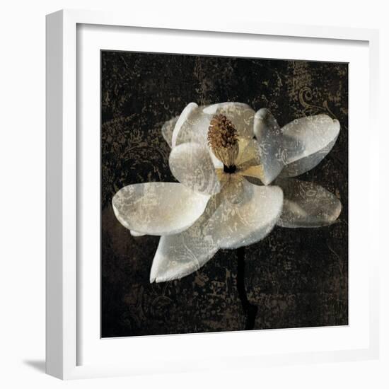 Magnolia II-John Seba-Framed Art Print