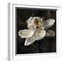 Magnolia II-John Seba-Framed Art Print