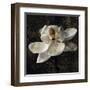 Magnolia II-John Seba-Framed Art Print