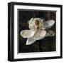 Magnolia II-John Seba-Framed Art Print