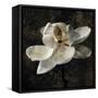 Magnolia II-John Seba-Framed Stretched Canvas