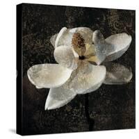 Magnolia II-John Seba-Stretched Canvas