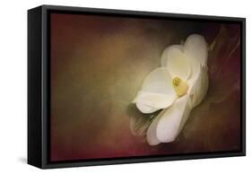 Magnolia in Bloom 1-Jai Johnson-Framed Stretched Canvas