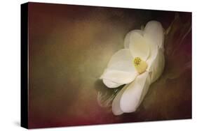 Magnolia in Bloom 1-Jai Johnson-Stretched Canvas