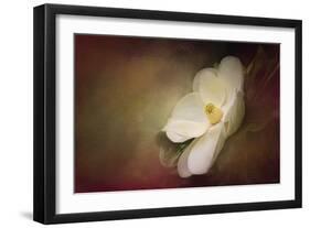 Magnolia in Bloom 1-Jai Johnson-Framed Giclee Print