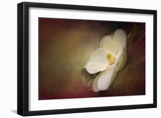 Magnolia in Bloom 1-Jai Johnson-Framed Giclee Print