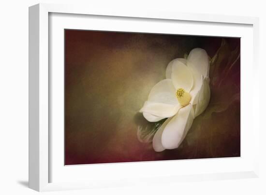 Magnolia in Bloom 1-Jai Johnson-Framed Giclee Print