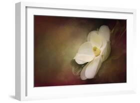 Magnolia in Bloom 1-Jai Johnson-Framed Giclee Print