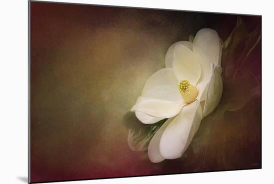 Magnolia in Bloom 1-Jai Johnson-Mounted Giclee Print