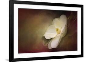 Magnolia in Bloom 1-Jai Johnson-Framed Giclee Print