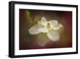 Magnolia in Bloom 2-Jai Johnson-Framed Giclee Print