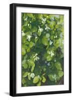 Magnolia in Flower, 2014-Leigh Glover-Framed Giclee Print